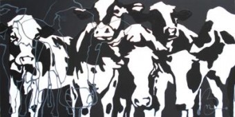 Cows and More Cows and More