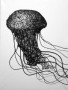 Jelly Kunstwerk Jelly