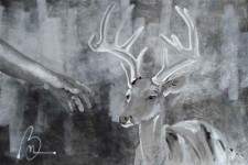 Lovely Deer Lovely Deer