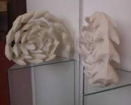 spiral 2 spiral 2