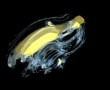 glassy yellow Kunstwerk glassy yellow