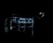 glass amoebe Kunstwerk glass amoebe