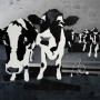 Silver Cows Kunstwerk Silver Cows