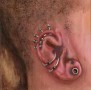 The Ear Kunstwerk The Ear