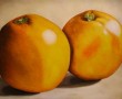 Kunstwerk Toch grapefruits!