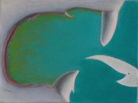 the big fish swallowing the small  fish                         the big fish swallowing the small  fish