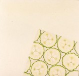 KOMKOMMERSCHIJFJES MET HOMEOPATHISCHE ACHTERGROND KOMKOMMERSCHIJFJES MET HOMEOPATHISCHE ACHTERGROND