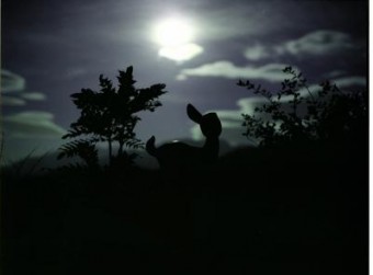 Hert/deer Hert/deer