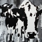 Closely Cows Closely Cows