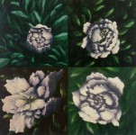 Paeonia Paeonia