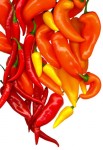 Pepers Pepers