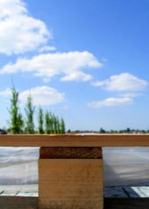 Landschap Landschap