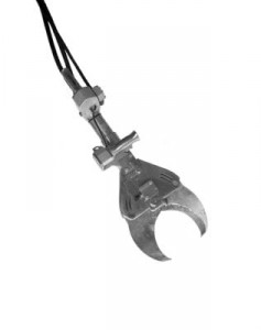 Neck Cutter - 5000 pigs per day Neck Cutter - 5000 pigs per day