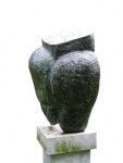 torso torso