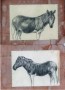 quagga Kunstwerk quagga