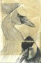 kraanvogels Kunstwerk kraanvogels