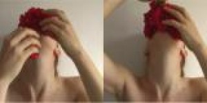 stills: Roses in mouth, untitled stills: Roses in mouth, untitled