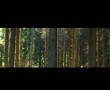 Bomen Kunstwerk Bomen