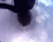 re_flection re_flection