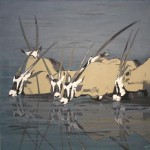 Gemsbokken Gemsbokken