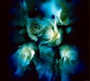 witte rozen Kunstwerk witte rozen