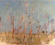 Tarakan IV vooraanzicht Kunstwerk Tarakan IV vooraanzicht