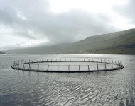 Faroer Eilanden 1 Visnet