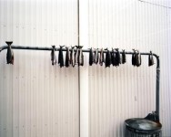 Faroer Eilanden 7 droogende vis Faroer Eilanden 7 droogende vis