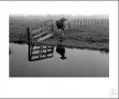 A-0840-31-1980 Kunstwerk A-0840-31-1980
