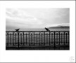 a-1190-52-1986 Kunstwerk a-1190-52-1986