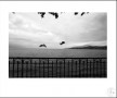 a-1190-53-1986 Kunstwerk a-1190-53-1986