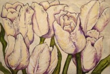 Tulpen Tulpen