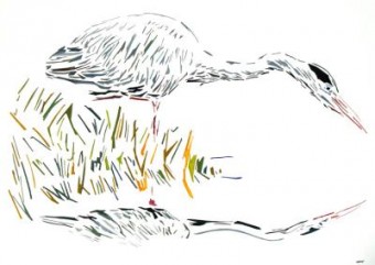 Reiger Reiger