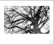 a-0745-17-1978 Kunstwerk a-0745-17-1978