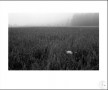 a-0851-04-1980 Kunstwerk a-0851-04-1980