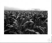 a-0854-11-1980 a-0854-11-1980
