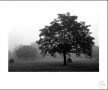 a-0854-12-1980 Kunstwerk a-0854-12-1980