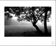 a-0854-27-1980 a-0854-27-1980