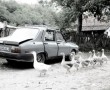 Dacia Kunstwerk Dacia