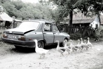 Dacia Dacia