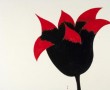 bijna duivelse tulp bijna duivelse tulp