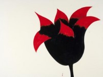 bijna duivelse tulp bijna duivelse tulp