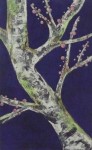 Birch Birch