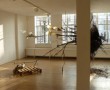 Dynamic Stills Kunstwerk Dynamic Stills