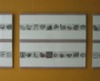 101 papavers in één dag Kunstwerk 101 papavers in één dag