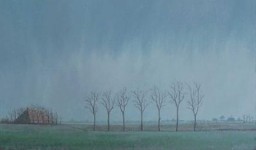 Fries landschap Fries landschap
