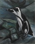 Pinguins Pinguins