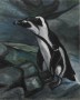Pinguins Kunstwerk Pinguins