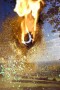 Spoilt dissatisfaction Kunstwerk Spoilt dissatisfaction