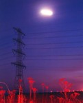electric electric